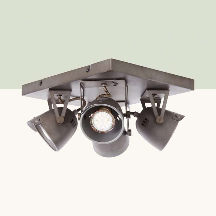 Williston Forge Deckenstrahler 4-flammig Shaver, 30 cm | Wayfair.de